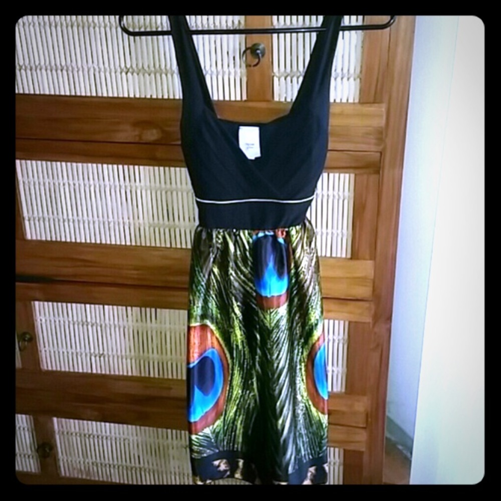👗Peacock Dress